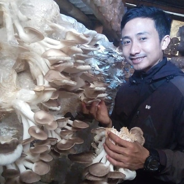 Muhammad Hendra